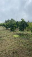 VENTA DE CASA CON TERRENO EN INTAG, SECTOR CAZARPAMBA, 3 HECTÁREAS