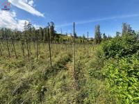 PROPIEDAD DE VENTA EN ATUNTAQUI - SAN ROQUE - PUCARA BAJO | 17.533 M2