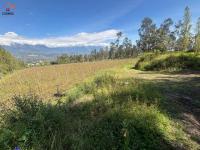 PROPIEDAD DE VENTA EN ATUNTAQUI - SAN ROQUE - PUCARA BAJO | 17.533 M2