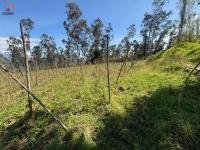 PROPIEDAD DE VENTA EN ATUNTAQUI - SAN ROQUE - PUCARA BAJO | 17.533 M2