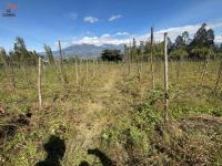 PROPIEDAD DE VENTA EN ATUNTAQUI - SAN ROQUE - PUCARA BAJO | 17.533 M2