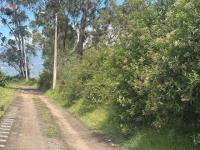 PROPIEDAD DE VENTA EN ATUNTAQUI - SAN ROQUE - PUCARA BAJO | 17.533 M2
