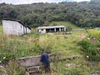 HACIENDA DE VENTA EN OTAVALO SECTOR MOJANDITA DE CURUBI - 339 HA