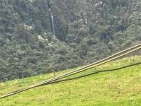 HACIENDA DE VENTA EN OTAVALO SECTOR MOJANDITA DE CURUBI - 339 HA