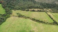 HACIENDA DE VENTA EN OTAVALO SECTOR MOJANDITA DE CURUBI - 339 HA
