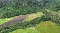 HACIENDA DE VENTA EN OTAVALO SECTOR MOJANDITA DE CURUBI - 339 HA