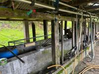 HACIENDA DE VENTA EN OTAVALO SECTOR MOJANDITA DE CURUBI - 339 HA