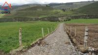 VENTA DE HACIENDA EN CAYAMBE, 92 HECTÁREAS