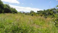 PROPIEDAD DE 7.500 M2 EN SAN ROQUE SECTOR CEROTAL 