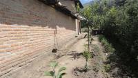 PROPIEDAD DE 7.500 M2 EN SAN ROQUE SECTOR CEROTAL 