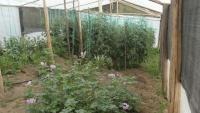 EN VENTA CASA DE CAMPO EN OTAVALO