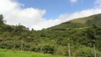 VENDO HACIENDA DE 116 HECTAREAS EN OTAVALO IMBABURA ECUADOR