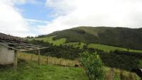 VENDO HACIENDA DE 116 HECTAREAS EN OTAVALO IMBABURA ECUADOR