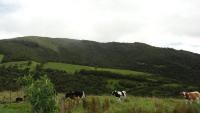 VENDO HACIENDA DE 116 HECTAREAS EN OTAVALO IMBABURA ECUADOR