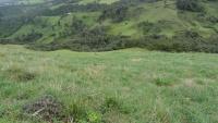 VENDO HACIENDA DE 116 HECTAREAS EN OTAVALO IMBABURA ECUADOR