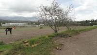 VENDO HERMOSA PROPIEDAD DE 4 HECTÁREAS EN ATUNTAQUI