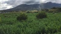 TERRENO CON CASA DE CAMPO DE VENTA EN CHALTURA, 7.500 M2