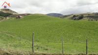 HACIENDA DE VENTA EN CAYAMBE, 35 HECTÁREAS