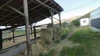 VENDO HACIENDA EN IBARRA
