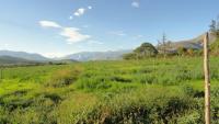 VENDO HACIENDA EN IBARRA