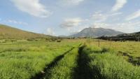 VENDO HACIENDA EN IBARRA