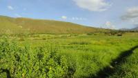 VENDO HACIENDA EN IBARRA