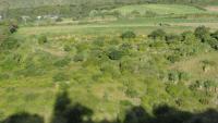 VENDO HACIENDA EN IBARRA