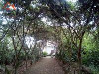 SE VENDE 5.000 M2 EN OTAVALO CON RESTAURANTE Y ESPACIOS VERDES