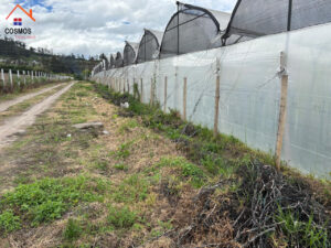 Terreno de venta en Pinsaqui — foto 3