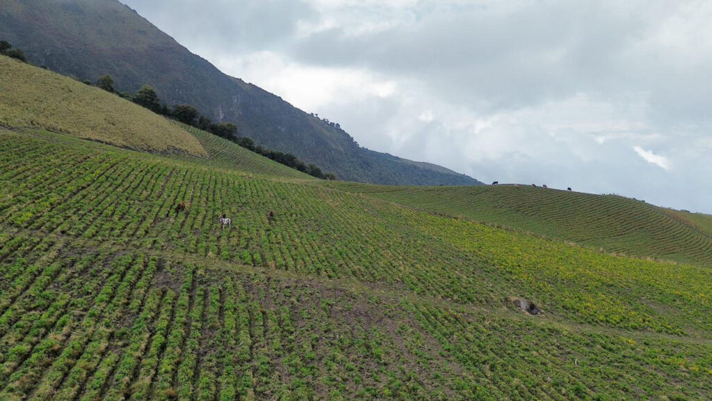 Hacienda de venta en Otavalo — foto 2