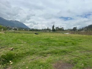 Terreno de venta en La Delicia — foto 9