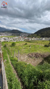 Terreno de venta en Monserrath Alto — foto 11