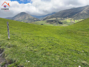 Finca de 8.5 hectáreas en Pesillo — foto 18