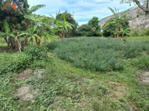 Venta de finca en Mascarilla — foto 10
