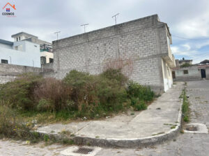 c4ce3d21-064f-4a13-8553-f3f41045b76d copia